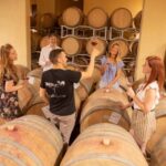 LUNCH IN VERONA: LIGHT LUNCH AMONG THE VINEYARDS AND IN THE WINERY - Who Should Consider This Tour?