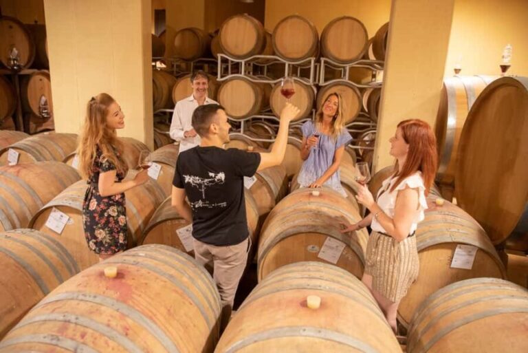 LUNCH IN VERONA: LIGHT LUNCH AMONG THE VINEYARDS AND IN THE WINERY - Who Should Consider This Tour?
