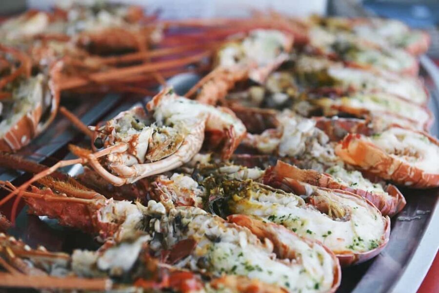 Lunch of lobster pasta in a cove in the Lavezzi Islands - Who Is This Tour Best For?