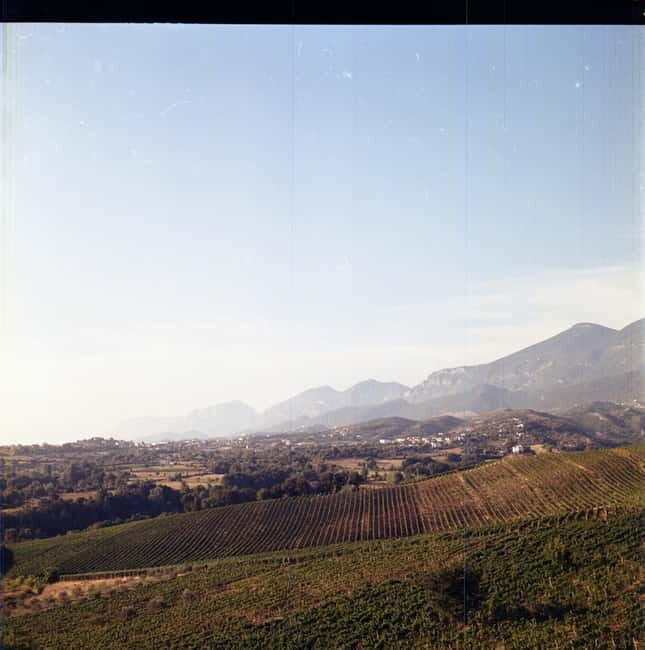 Lundër: Lundra Winery Guided Tour with Wine Tasting - Practical Details: What You Need to Know