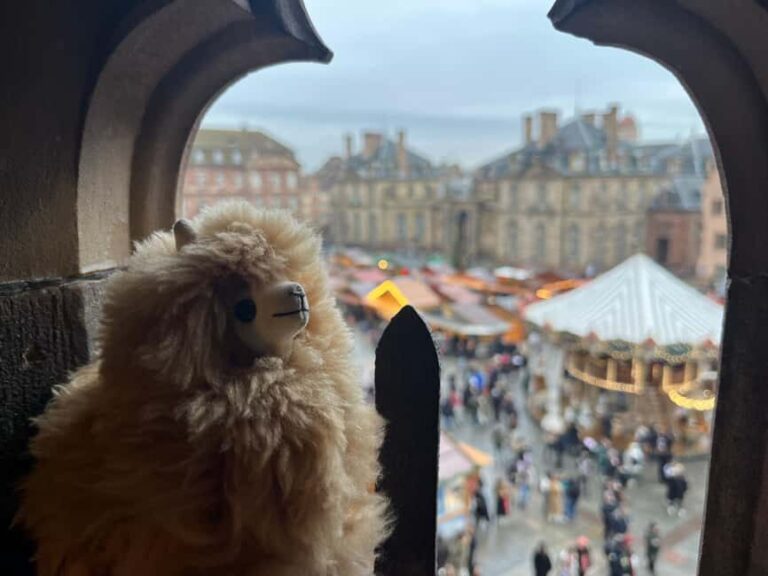 Luxembourg Day Tour from Strasbourg - Pricing and Value