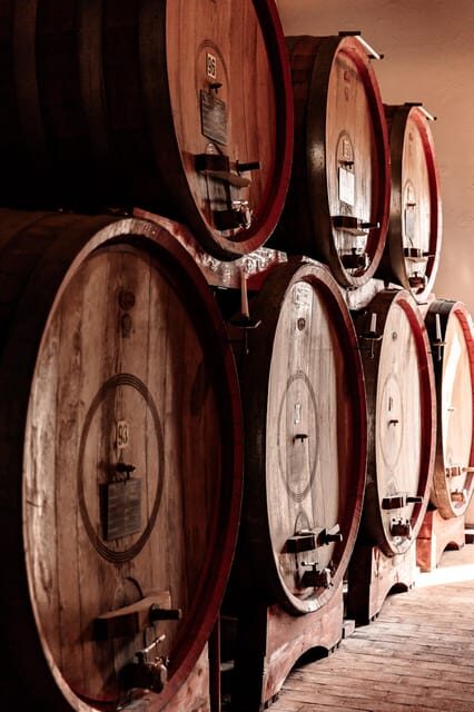 Luxurious Wine Experience: Savor Venetian Best Vineyards - Who Should Consider This Tour?