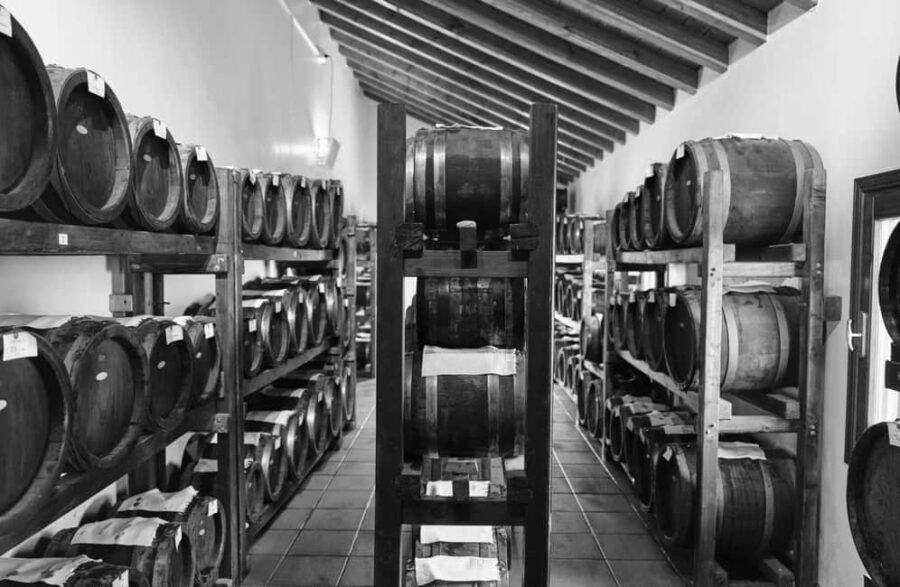 Luxury Balsamic Vinegar Tasting & Tour near Parma & Reggio - Who Would Enjoy This Tour?