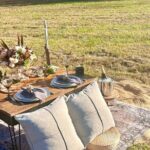 Luxury Beach Picnic on the Gulf - Price and Value
