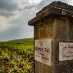 Luxury Burgundy Private Wine Tour - Why This Tour Works (and Why It Might Not for Everyone)