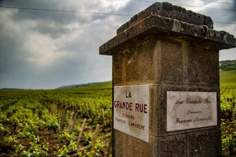 Luxury Burgundy Private Wine Tour - Why This Tour Works (and Why It Might Not for Everyone)