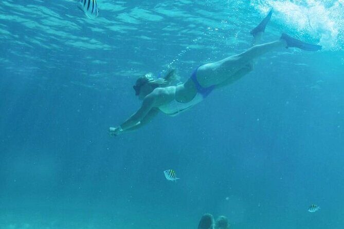 Luxury Catamaran Tour to Isla Mujeres with Transportation - What Does the Tour Include and Cost?