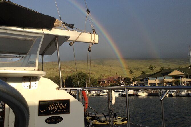 Luxury Catamaran Whale Watch - The Cost and What You’re Getting