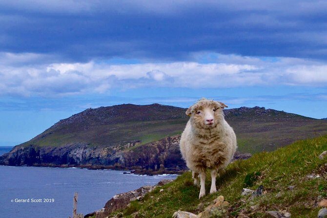 Luxury 'Luck of the Irish' Tour - 4 Day Tour - What Travelers Are Saying