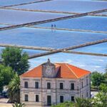 Luxury Private Transfer Dubrovnik - Split with lunch in Ston - The Overall Experience: Comfort, Flexibility, and Local Flavor