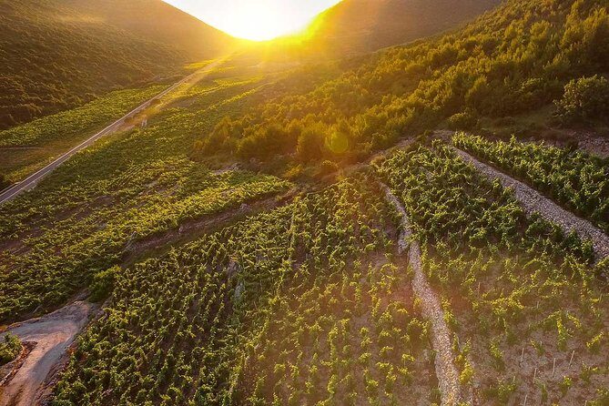 Luxury private transfer Split - Dubrovnik with lunch in Ston - The Itinerary in Detail