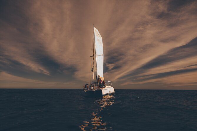 Luxury Sailing Whale Watch and The Arch (Dec 15 - Apr 15) - The Pros & Cons