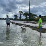 Luxury Single Kayak Tour To An Island Off Clearwater Beach! - What Makes This Tour Stand Out?