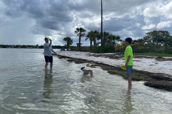 Luxury Single Kayak Tour To An Island Off Clearwater Beach! - What Makes This Tour Stand Out?