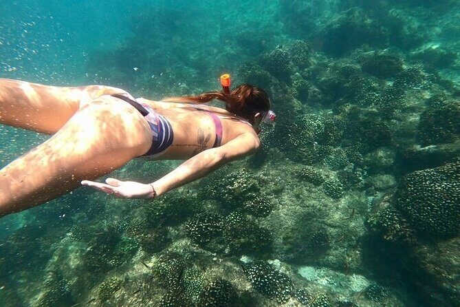 Luxury Snorkeling Tour in Cabo San Lucas - The Experience: What Reviewers Are Saying