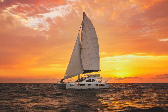 Luxury Sunset Sailing Cruise in Cancun with Light Dinner and Open Bar - Authentic Traveler Insights