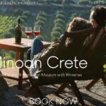Luxury Tour from Elounda: Knossos Palace & Museum with Wineries - What Makes This Tour Stand Out