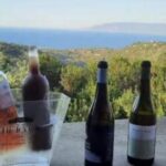 Luxury Wine tasting at your place in Cyprus - Who Should Consider This Tasting?