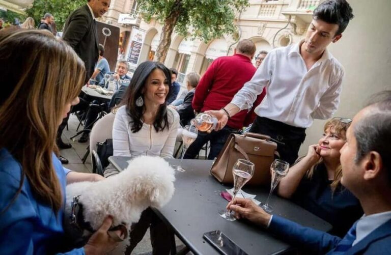 Luxury Wine Tasting with Finger Foods in Alba City Center - The Details: Group Size, Price, and Practicalities
