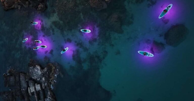 LUZ Sunset in SUP with Aperitif and light show - Who Is This Tour Ideal For?