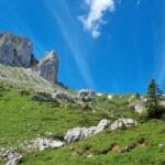 Luzern: Guided Hidden Mount Pilatus Hike - What’s Included and What You Should Keep in Mind