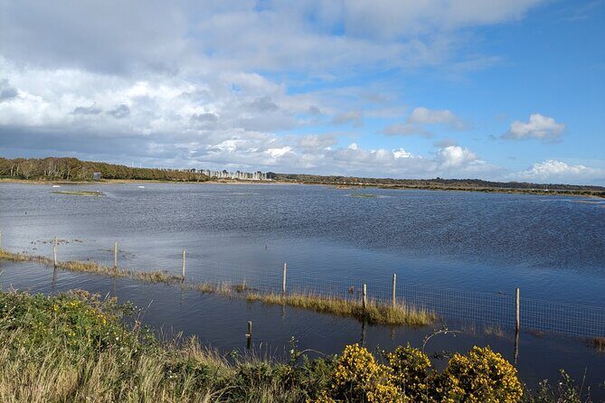 Lymington Wildlife Discovery Walk - The Guides and Their Impact