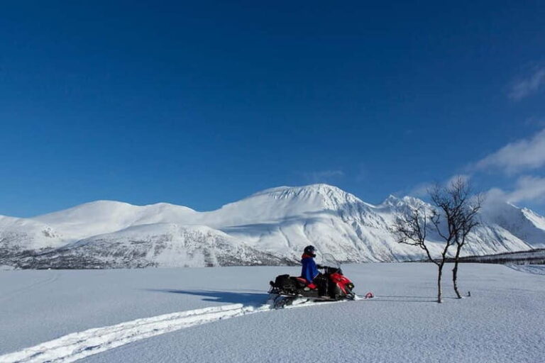 Lyngen Alps: Snowmobile Safari in the Arctic Wilderness - What’s Included and What to Expect