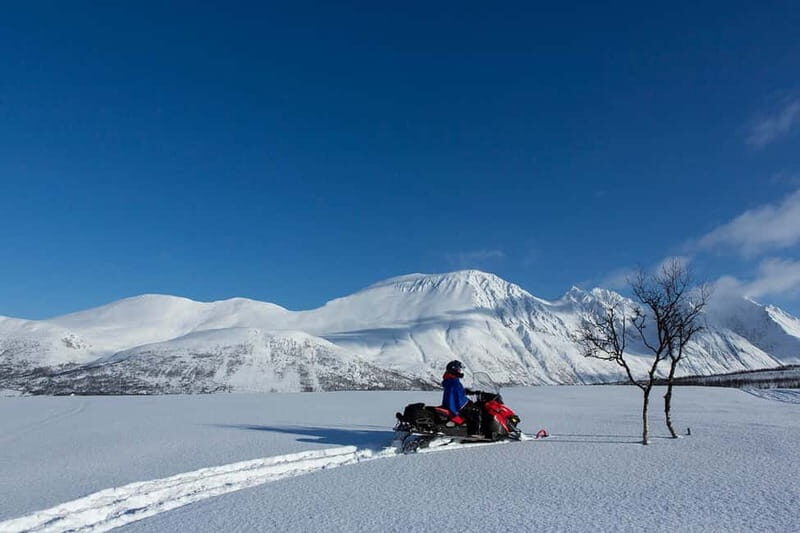 Lyngen Alps: Snowmobile Safari in the Arctic Wilderness - What’s Included and What to Expect