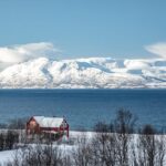 Lyngen: Snowmobile Safari with Lunch in seaside Restaurant - Is It Worth the Price?