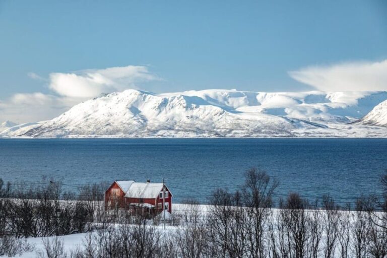 Lyngen: Snowmobile Safari with Lunch in seaside Restaurant - Is It Worth the Price?