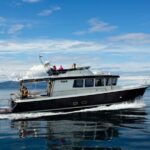 Lyngen: Whale Watching VIP Boat Tour with Lunch - Setting Sail into Arctic Wildlife: What You Can Expect