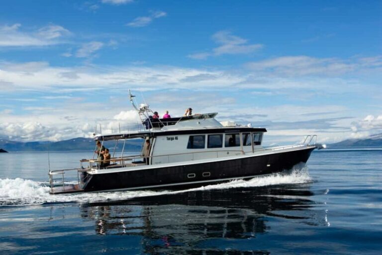 Lyngen: Whale Watching VIP Boat Tour with Lunch - Setting Sail into Arctic Wildlife: What You Can Expect