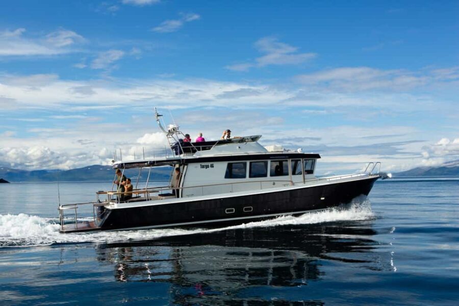 Lyngen: Whale Watching VIP Boat Tour with Lunch - Setting Sail into Arctic Wildlife: What You Can Expect