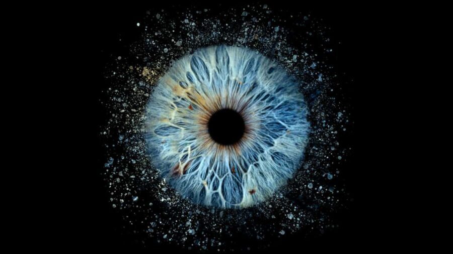 Lyon Saint-Jean: Reveal the beauty of your iris with Iris Galerie - The Detailed Breakdown of the Tour