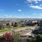 Lyon : Visit Lyon on a private half-day tour with a driver - Transportation & Comfort