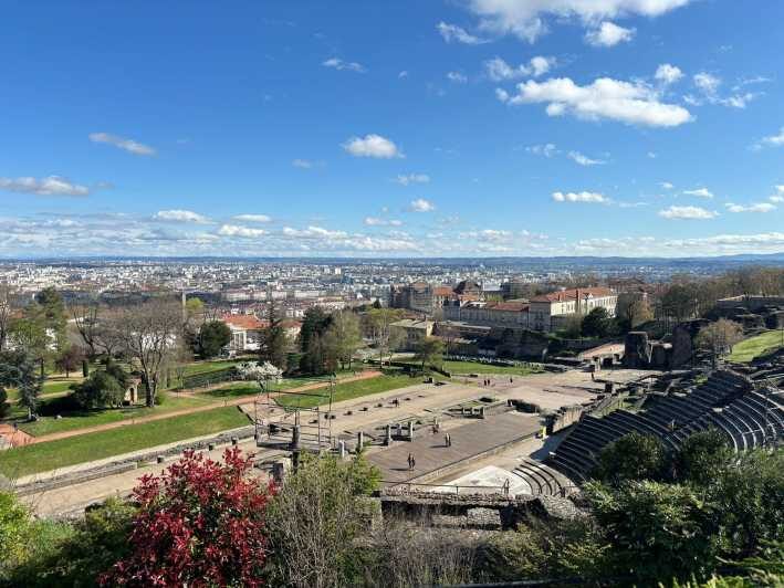 Lyon : Visit Lyon on a private half-day tour with a driver - Transportation & Comfort