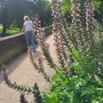 Maastricht Hidden Gems Tour Uncover the Unexpected - An In-Depth Look at the Maastricht Hidden Gems Tour