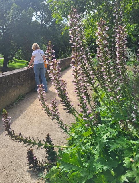 Maastricht Hidden Gems Tour Uncover the Unexpected - An In-Depth Look at the Maastricht Hidden Gems Tour