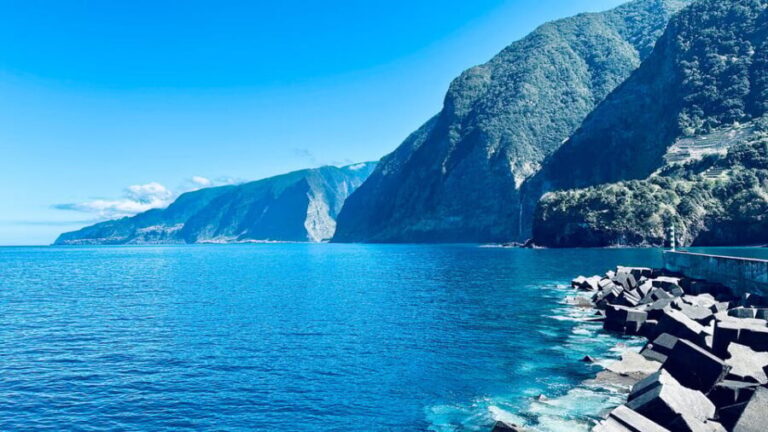 Madeira: Achadas Cruz, Porto Moniz, Seixal for Cruise Ship - Who Will Love This Tour?