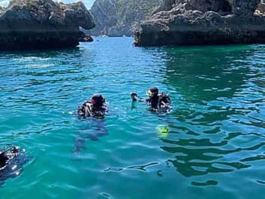 Madeira: Beginner Scuba Dive From Porto Santo Island - Post-Dive and Additional Activities