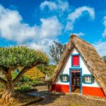 Madeira: Best of the East Tour from Funchal - The Practicalities: What to Expect