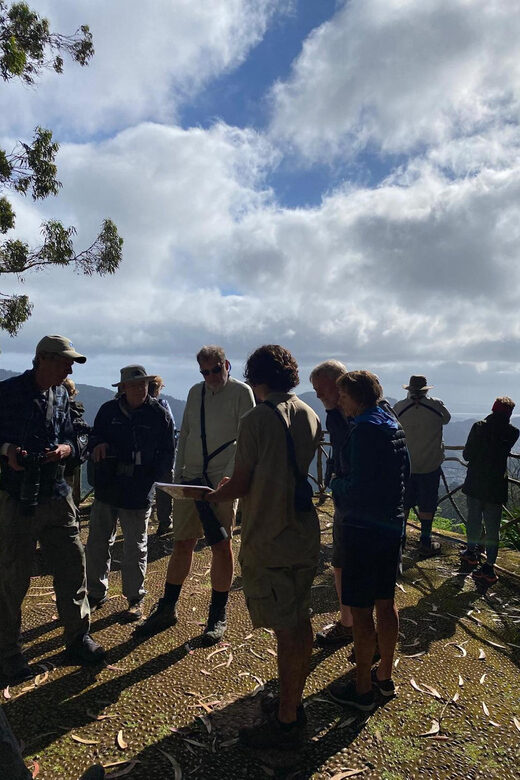 Madeira: Birdwatching - The Endemics - How the Tour Adds Value