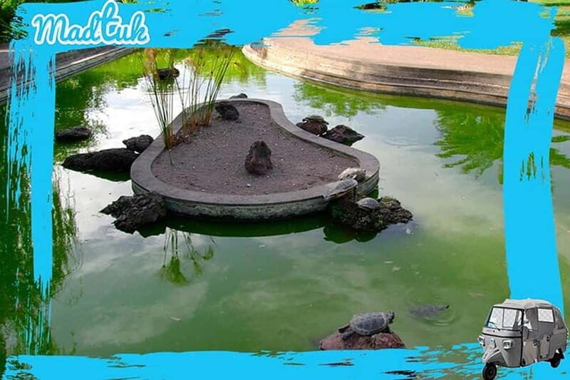 Madeira: Botanical Gardens + Old Town Tuk-Tuk Tour by MadTuk - The Itinerary Breakdown