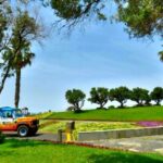 Madeira : Cabo Girao and Camara de Lobo 4WD half-day Tour - Final Thoughts: Is It Worth It?