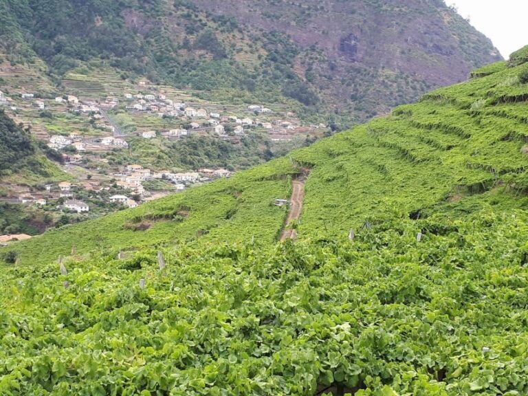 Madeira: Cabo Girão, Wine Tasting, & Serra d'Água Jeep Tour - The Balance of the Tour