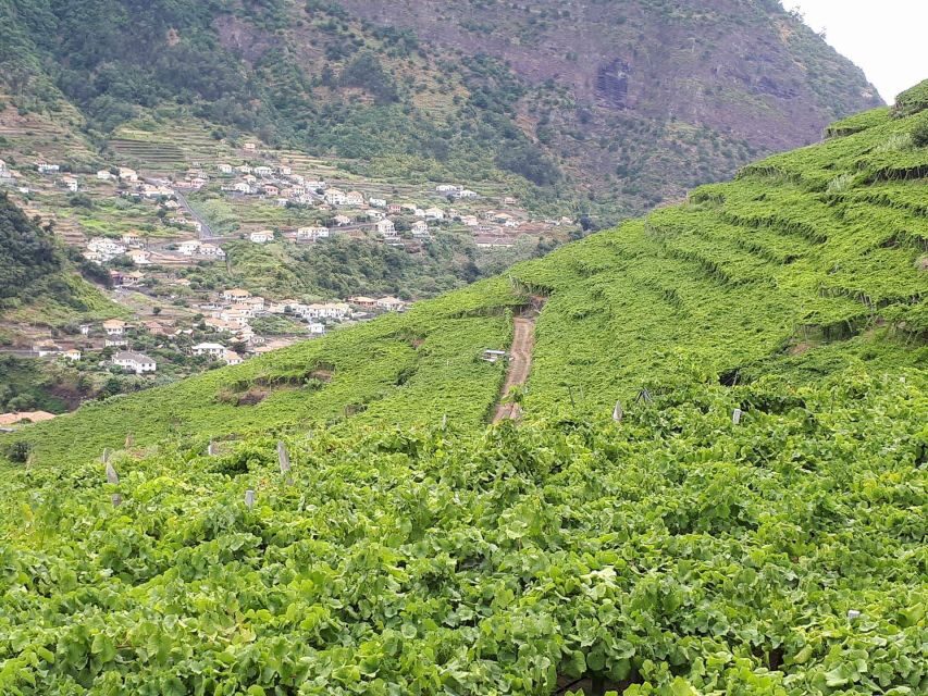 Madeira: Cabo Girão, Wine Tasting, & Serra d'Água Jeep Tour - The Balance of the Tour