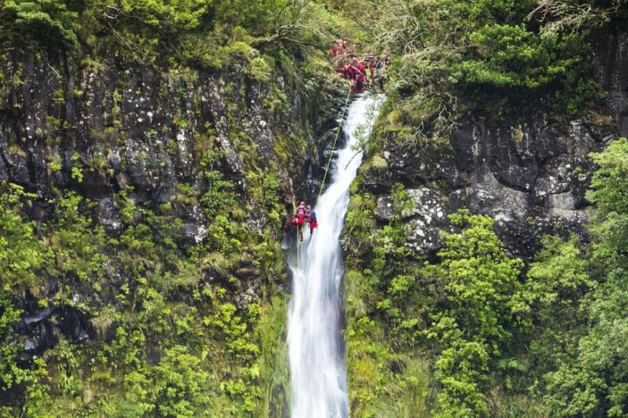 Madeira: Canyoning Adventure Level 1 - The Experience: From Start to Finish