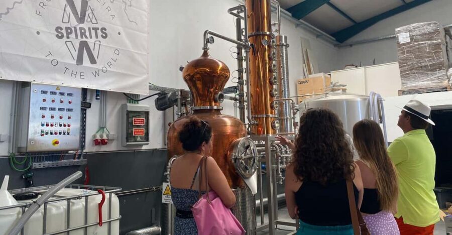 Madeira: Distilleries - The Real Traveler Insights