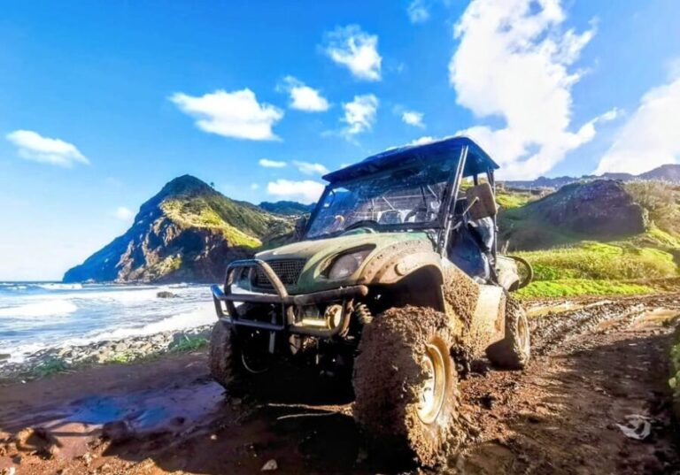 Madeira E-Buggy Adventure: 4x4 thrill & epic views! Book now - Who Is This Tour Best For?