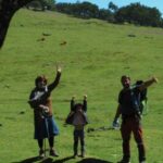 Madeira: Fanal Forest Guided Hiking Tour - What to Expect from the Tour